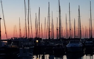 Skærsommeraften med ORCA