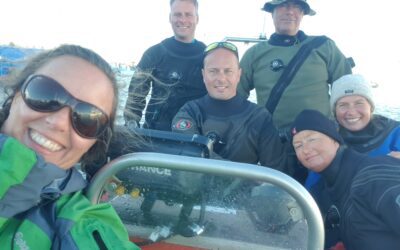 Grottejagt på Kullen