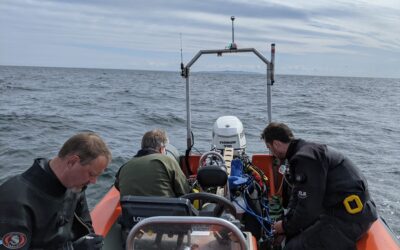 Frisk tur til Eisfish