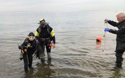 Fyraftensdyk ved Trykkerdammen