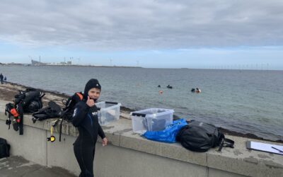 Dykkertur til Amager Strandpark