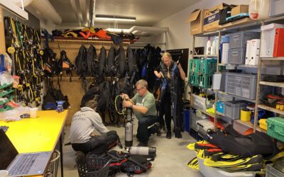 Afholdelse af materialedag 2024