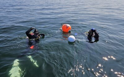 Tur til Indfødsretten