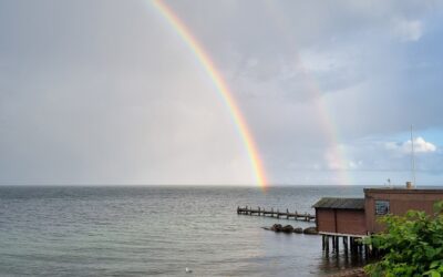 Onsdagsdyk ved Trykkerdammen