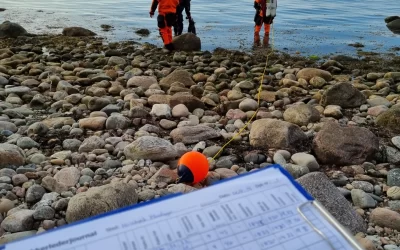 Sommeraften ved Hornbæk Plantage