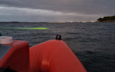 Båd dyk ved Hven 27/8